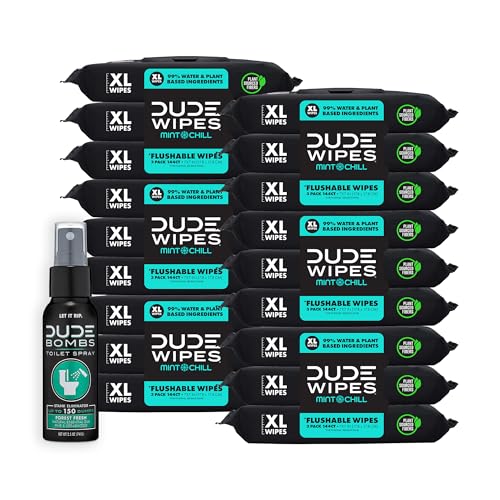 DUDE Wipes Flushable Mint Chill Wipes & Spray Combo