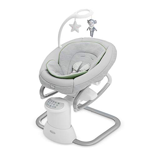 Graco Soothe My Way Baby Swing & Portable Rocker