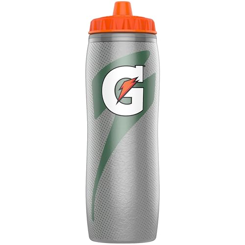 Gatorade 30oz Insulated Squeeze Bottle – Silver