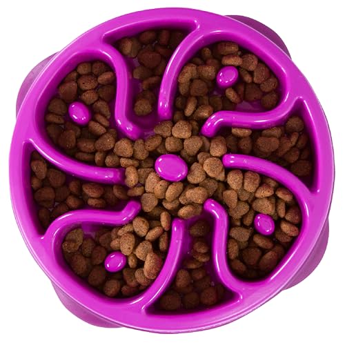 Outward Hound Purple Slow Feeder Dog Bowl, Medium/Mini