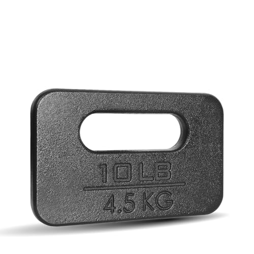 Yes4All 10LB Cast Iron Ruck Weight for Strength Training