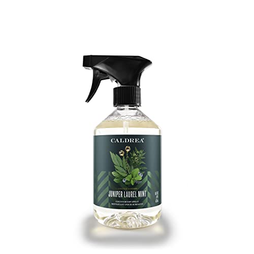 Caldrea Juniper Laurel Mint Surface Cleaner, 16 oz