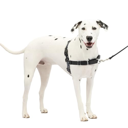 PetSafe No-Pull Dog Harness, Medium/Large, Charcoal/Black