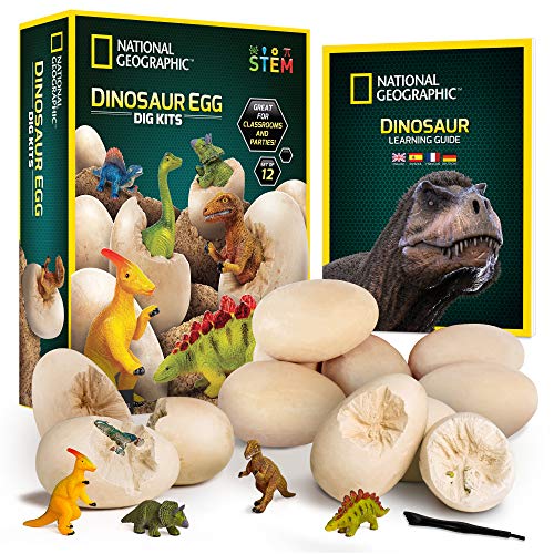 NATIONAL GEOGRAPHIC Dinosaur Dig Kit – 12 Dino Bricks with Figures & Tools, STEM Toy for Kids