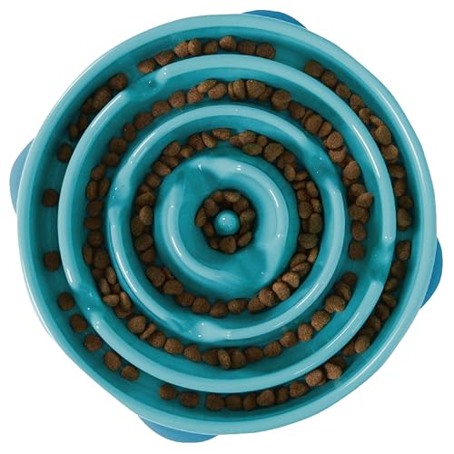 Outward Hound Large Slow Feeder Dog Bowl, Turquoise