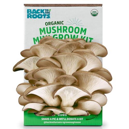 Organic Mini Mushroom Grow Kit – Harvest in 10 Days