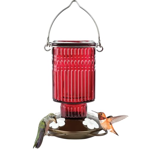 Nature’s Way 22oz Glass Hummingbird Feeder, 4 Ports, Red
