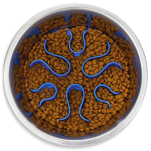 Outward Hound Stainless Steel Slow Feeder Dog Bowl, Medium, Silver
