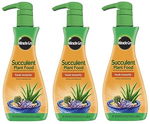 Miracle-Gro Succulent Plant Food, 8 OZ, 3 Pack