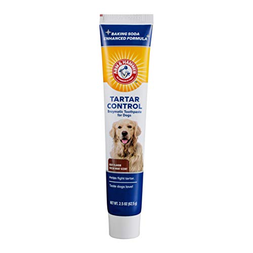 Arm & Hammer Enzymatic Dog Toothpaste, Beef Flavor, 2.5 oz