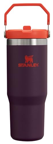 Stanley 30oz Plum Insulated Tumbler with Flip Straw & Handle