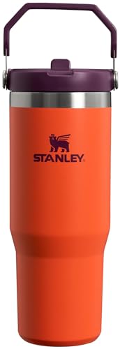 Stanley 30 oz Insulated Tumbler with Flip Straw – Plum