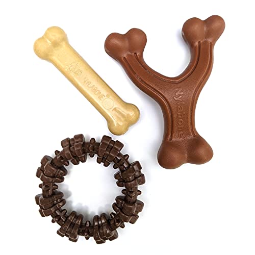 Nylabone Power Chew Toy Bundle for Small Dogs, 3 Pack