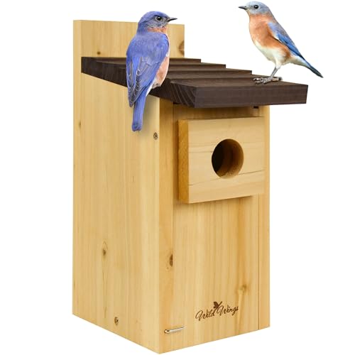 Wild Wings Cedar Bluebird House