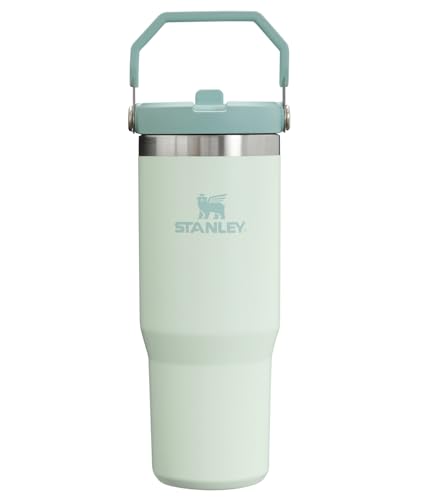Stanley IceFlow 30 oz Tumbler with Handle – Mist
