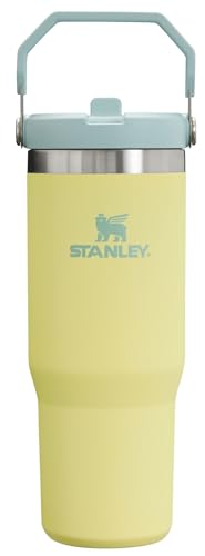 Stanley 30 oz Insulated Tumbler with Handle – Pomelo