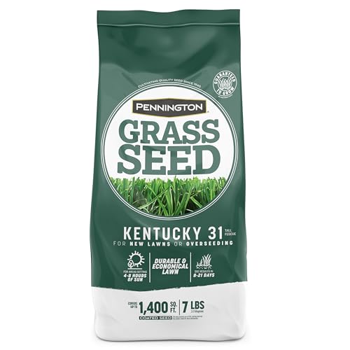 Pennington Kentucky 31 Tall Fescue Grass Seed, 7 lb