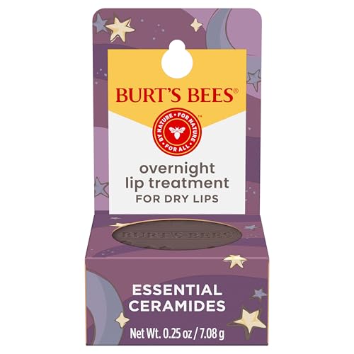Burt’s Bees Overnight Lip Treatment with Vitamin E, 0.25 Oz.