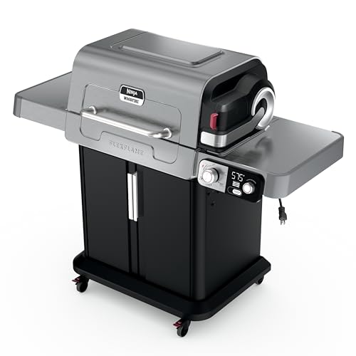 Ninja FlexFlame 5-in-1 Electric & Propane Grill Smoker