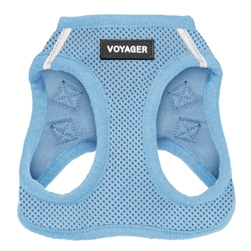 All Weather Mesh No Pull Harness, Baby Blue, XS