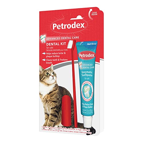 Petrodex Cat Dental Care Kit: Toothbrush & Malt Toothpaste