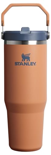 Stanley IceFlow 30 oz Insulated Tumbler with Flip Straw
