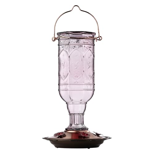 Amethyst Jewel Glass Hummingbird Feeder, 5 Stations, 20 oz