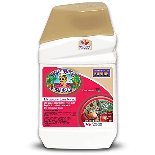Bonide Captain Jack’s 16 oz Organic Insecticide Concentrate