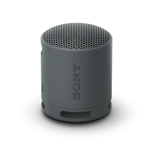 Sony SRS-XB100 Wireless Waterproof Bluetooth Speaker, 16-Hour Battery, Black