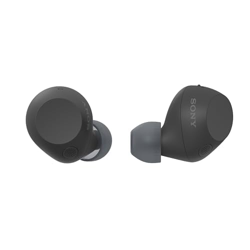 Sony WF-C710N Noise-Canceling Wireless Earbuds, 30-Hour Battery, Black