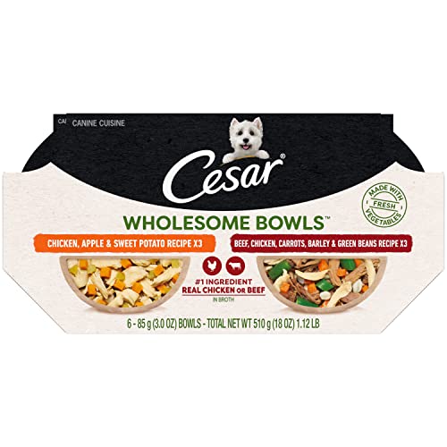 Cesar Wet Dog Food Variety Pack, Beef & Chicken, 6 Count