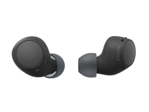 Sony WF-C510 Wireless Earbuds, 22-Hour Battery, Mic, IPX4, Black