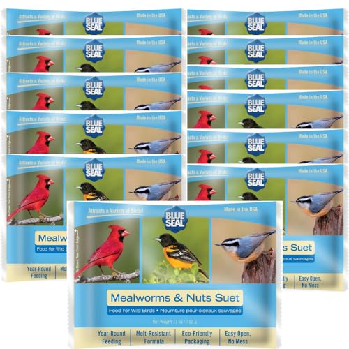 Blue Seal Mealworms & Nuts Suet Cakes for Wild Birds, 11oz (12 Pack)