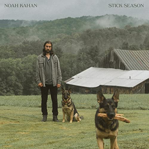 Stick Season Vinyl [2 LP]