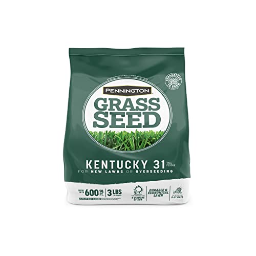 Pennington Kentucky 31 Tall Fescue Grass Seed 3 lb