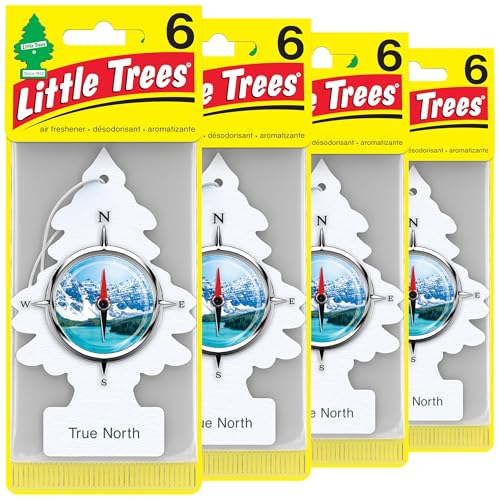 LITTLE TREES True North Air Fresheners, 24 Pack
