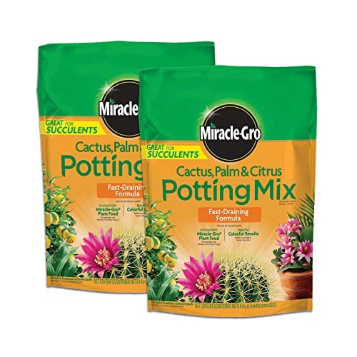 Miracle-Gro Potting Mix for Cactus & Succulents, 8 qt., 2-Pack