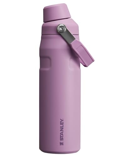 Stanley 24oz Insulated Water Bottle, Leakproof, Lilac