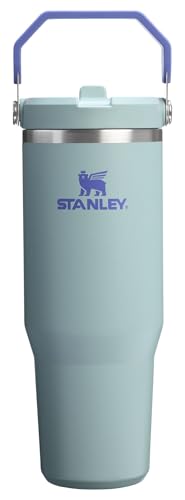 Stanley IceFlow 30 oz Insulated Tumbler – Blue Cactus