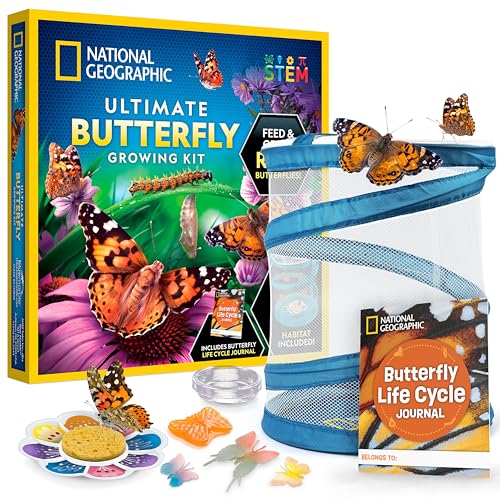 National Geographic Butterfly Kit: Grow & Watch Caterpillars Transform