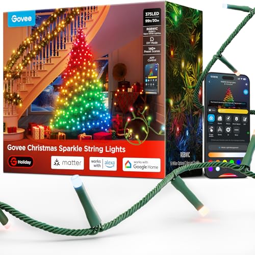 Govee 99ft RGBWIC String Lights, App & Alexa Controlled
