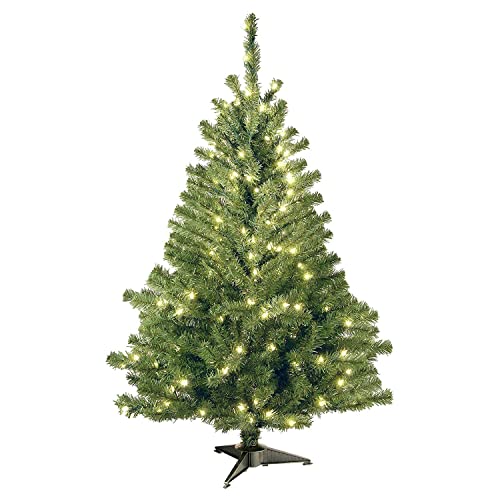 National Tree 4 ft Pre-Lit Kincaid Spruce Christmas Tree