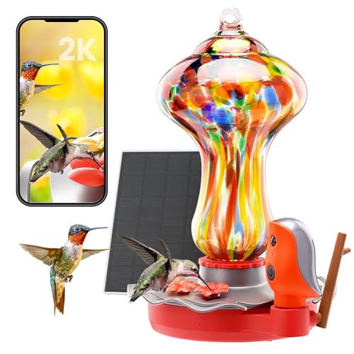 Glass Smart Hummingbird Feeder with 2K Camera, Solar Powered