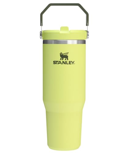 STANLEY 30 oz Insulated Flip Straw Tumbler – Prickly Pear