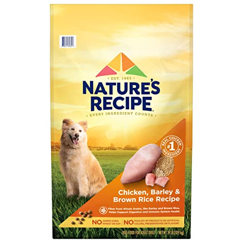 Nature’s Recipe Chicken & Rice Dry Dog Food, 24 lb Bag
