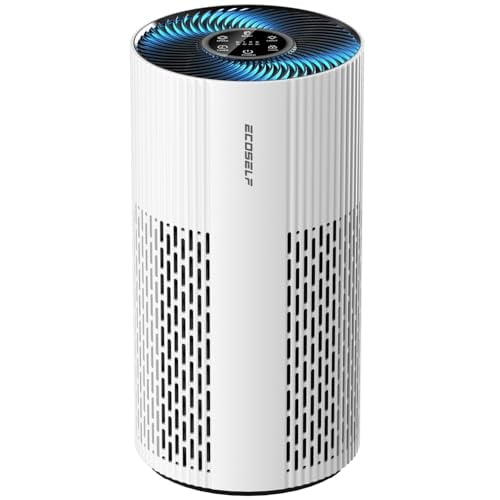 Large Room Air Purifier with True HEPA Filter, HAP604